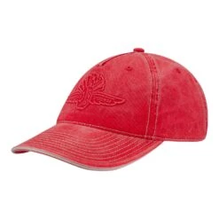 Wing Wheel Flag Debossed Washed Hat
